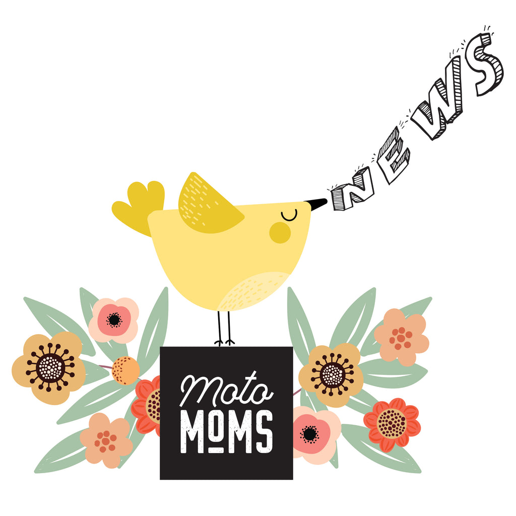 Processing & Shipping during SEPTEMBER 2019