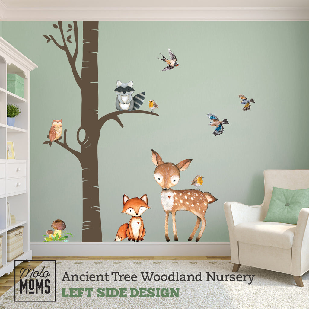 Two Tone Walls, Woodland Nursery Decor